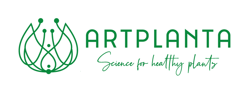 Artplanta