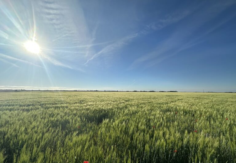 Üdvözlünk az ArtPlanta Tudástárában!